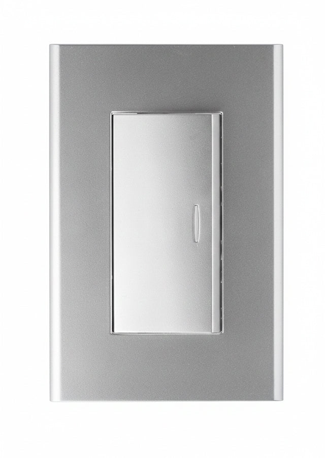Interruptor simple Plata
