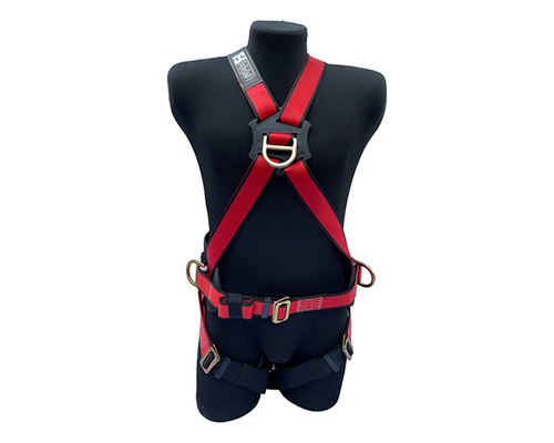 Arnés EQS Basic 4D con Respaldo Lumbar