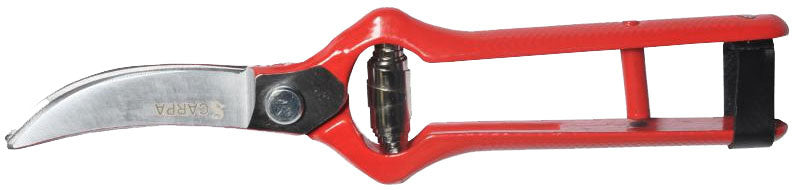 TIJERA CARPA FORJADA  P/CORTAR AJOS # 03A19L - 19 CMS.