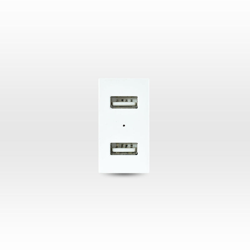 MÓDULO TOMA USB 5V C.C. 1100MA BLANCO