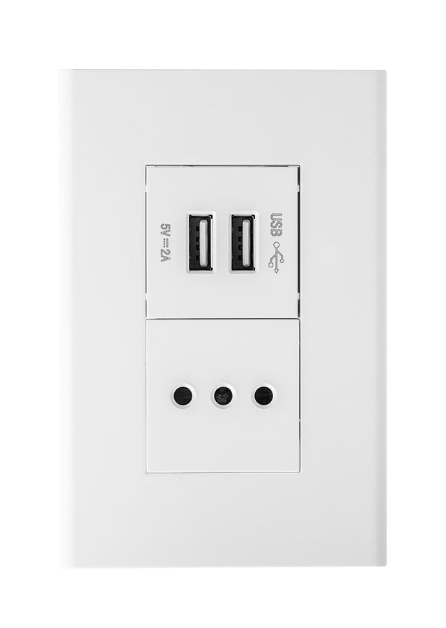 Modulo toma 10A + cargador USB blanco Blanco