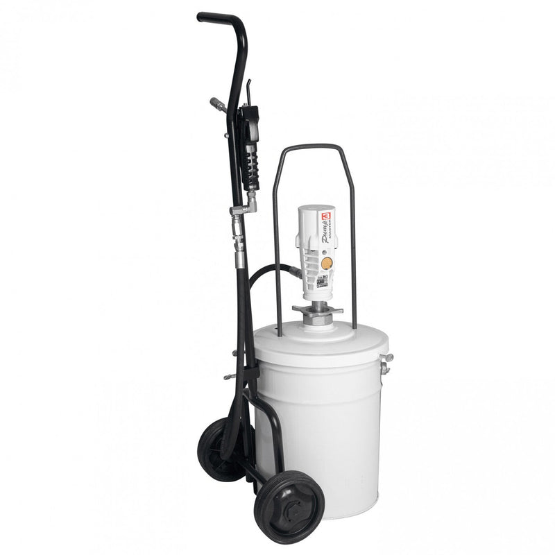 EQUIPO NEUMATICO ENGRASE 20 Kg 424152